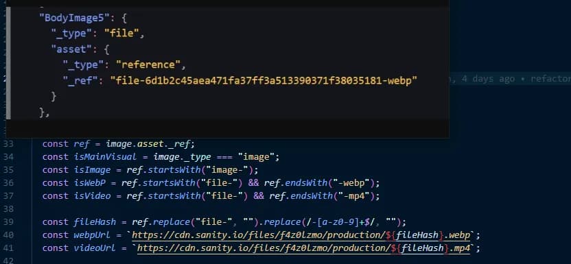 An image of an asset in Sanity's CDN paired with some code logic showing how to parse it