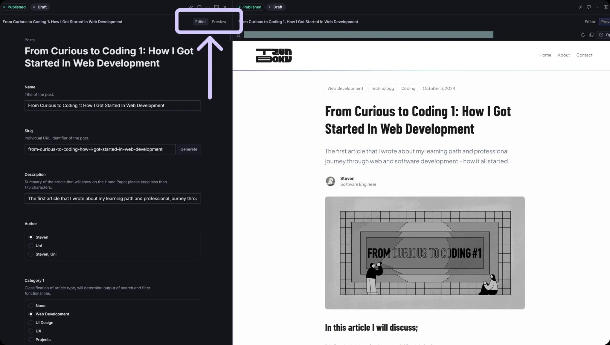 Indicator where the toggle view was placed in the studio to switch between content and preview modes. 